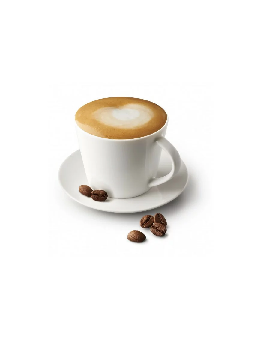 Cappuccino Protein Drink Mix